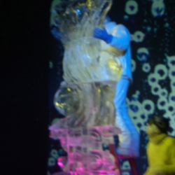 custom-show9